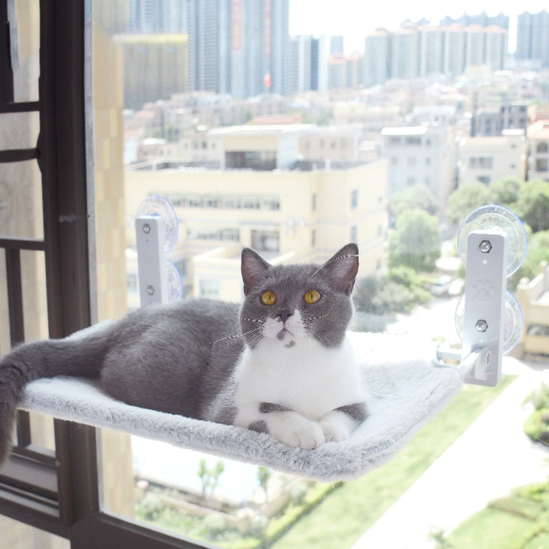 Purr-fect Perch Cat Hammock