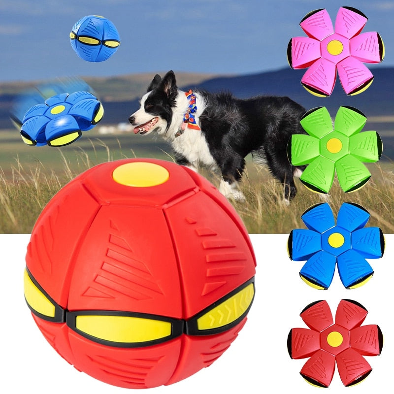 Frisbee Ball Buddy - Ball & Frisbee Combo for Canines