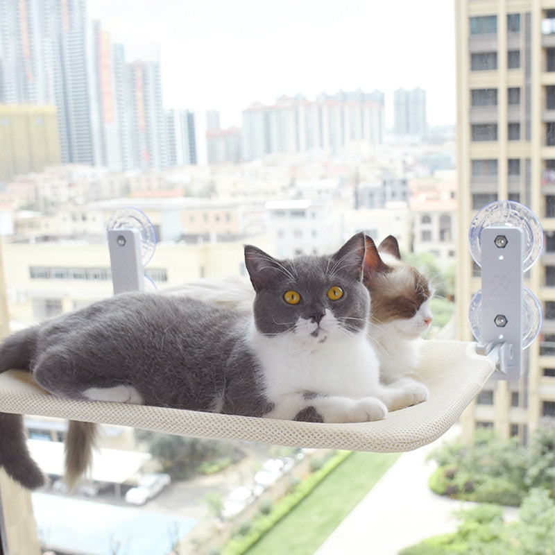 Purr-fect Perch Cat Hammock