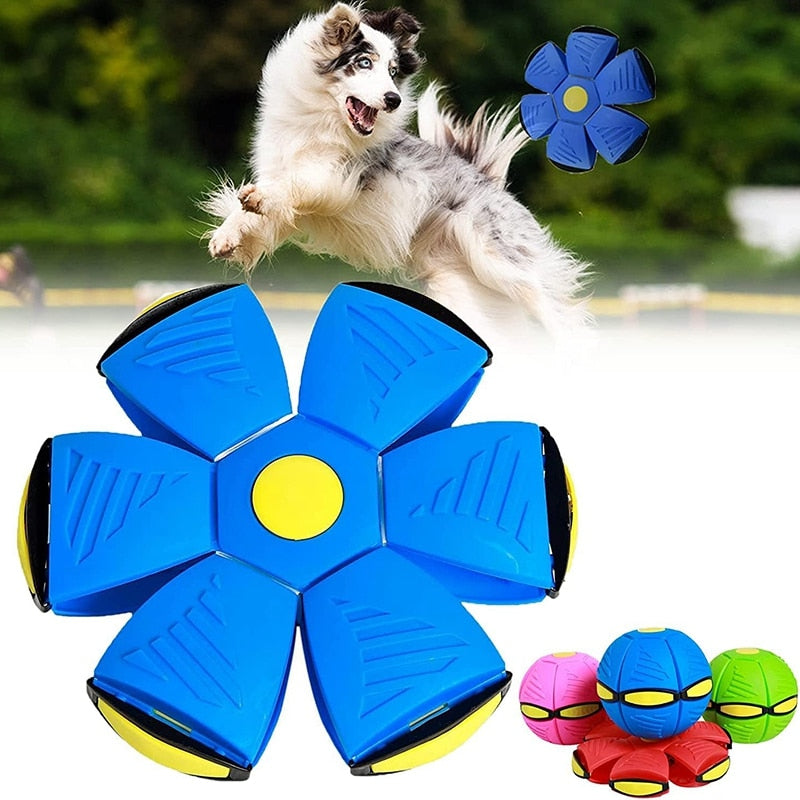 Frisbee Ball Buddy - Ball & Frisbee Combo for Canines